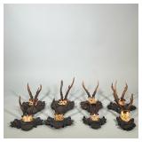 (8pc) Antique Hunting Trophies | Black Forest German wall trophies/awards dating from 1897-1928. Car