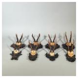 (8pc) Antique Hunting Trophies | Carved Black Forest German wall hangings/awards adorned with oak le