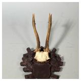 MOUNTED DEER Hunting Trophy | Mounted roe deer trophy featuring a skull and antlers mounted to a car