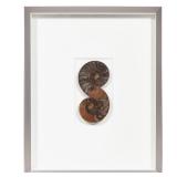 CHRISTOPHER MARLEY / PHEREMONE CRETACEOUS AMMONITE FOSSIL | Fossil, h. 8.5 in Dimensions: h. 21.5 x 