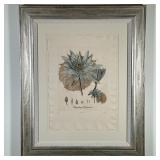 Lyndi Sales (South African, 1973-Present) Ink on Paper - "Waterlily" | Botanical illustration of "Ny