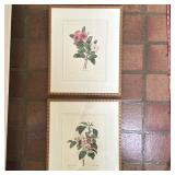 (2pc) After Pierre Joseph Redoute (French, 1759-1840) Bookplates - 1/2 | Two botanical watercolor il