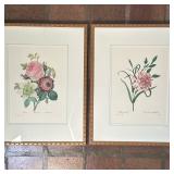 (2pc) After Pierre Joseph Redoute (French, 1759-1840) Bookplates - 1/2 | Two botanical watercolor il