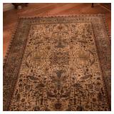 Area Rug - Oriental Design | Oriental style woven area rug with earth tones of brown and dark green 