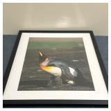 Unknown Artist, Photograph - "Emperor Penguin & Chick"