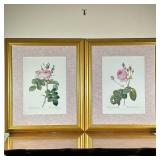 (2pc) After Pierre-Joseph Redouté (Belgian, 1759-1840) Prints - "Les Roses"