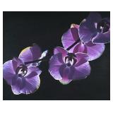 ORCHID PHOTOGRAPH | Purple orchid Framed Photograph 15.5 x 19.5 in. Sight Dimensions: h. 27.75 x w. 
