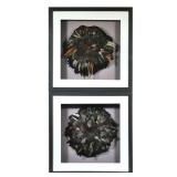 (2pc) FRAMED JUJU FEATHER HATS | 3-dimensional framed feather hats, probably African or Senegalese. 