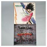 (2pc) Chaka Khan Records | Including: I Feel For You and Krush Groove Can’t Stop the Street. Dimensi