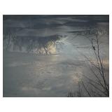 Signed Photograph "Liquid Life" Artwork