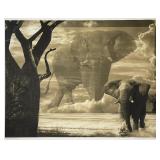 SUDDEN SQUALL AT NXAI PAN (SOUTHERN AFRICAN, CONTEMPORARY) SEPIA PHOTOGRAPH | Sudden Squall at Nxai 