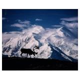 MOOSE IN SNOW-CAPPED MOUNTAINS PHOTOGRAPH | Framed color photographic print depicting a silhouetted 