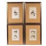 (4PC) HAND COLORED LITHOGRAPHS FROM ‘OEUVRES COMPLETES DE M. DE BUFFON’