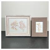 PAIR OF FRAMED PRESSED SEAWEED PRINTS