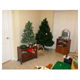 APOPKA, FL Estate Sale
