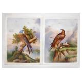 Pair of Austrian Hand Painted Porcelain Bird Tiles