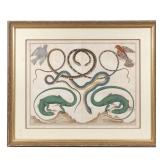 LOT 429 | ALBERTUS SEBA (DUTCH, 1665-1736) | Snakes, Birds, and Reptiles Colored engraving From Seba