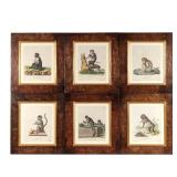 LOT 430 | (6PC) 18TH CENTURY ENGRAVINGS OF MONKEYS: SCHREBER | Copper plate engraving, c. late 18th 