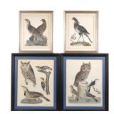 LOT 639 | (4PC) MISC. ORNITHOLOGICAL ENGRAVINGS | Including 2 engravings after J. Reinold & L. L. Re