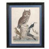 Including 2 engravings after J. Reinold & L. L. Reinold, "The Serpent Eater" and "The doubtful Hawk,