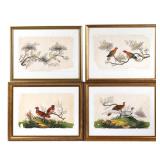 (4PC) EXCEPTIONAL CHINESE EXPORT BIRD PAINTINGS | Early 19th century, each mixed media on pith paper