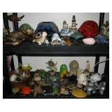 Large Turtle Collection