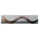 Yemenite Shofar Kudu Horn
