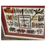Framed Navajo Dye Display 16" x 19" 
