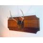 360 Estate Sales- Phoenix Total Home 50% OFF Sale, Antiques and Primitives 