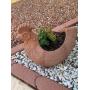 Sun City West Total Home Sale