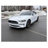  2018 Ford Mustang EcoBoost (2503-89)