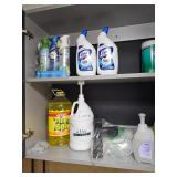Cleaning Supplies, Lysol