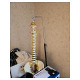Model of Spine from Medical Office 