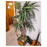 Decorative Plant