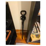 Walking Cane