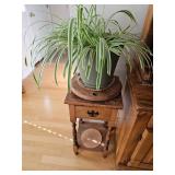 Wooden Side Table with Drawer, Potted House Plant
