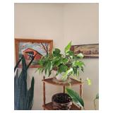 Potted House Plants, Corner Plant Stand, Artwork