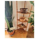 Corner Plant Stand, Baskets, House Plants