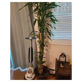 Potted House Plant, Orbital Floor Cleaning Machine