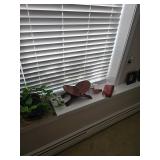 House Plant