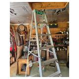 Aluminum Ladder