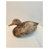 Duck Decoy 7