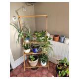House Plants, Plant Stand, Pots