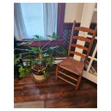 House Plant, Wood Chair