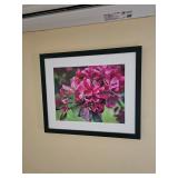 Framed Photograph of Pink Flowers