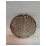 1996 Walking Liberty Silver Coin