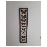 Shadow Box with Butterflies