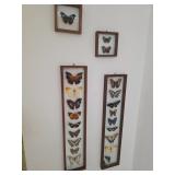 Shadow Boxes with Butterflies