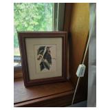 Framed Bird Print