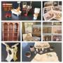 Vintage Delights In NW Austin  Final Bids Thurs, June 20, Pickup June 22